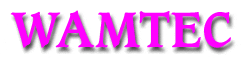 wamban