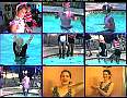 allwet2008.jpg